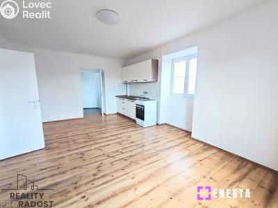 Pronájem bytu 2+KK Tursko, Ke Statkům 16 č. 1