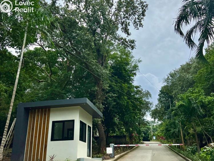Prodej bytu 3+1 Coxen Hole,Honduras č. 7