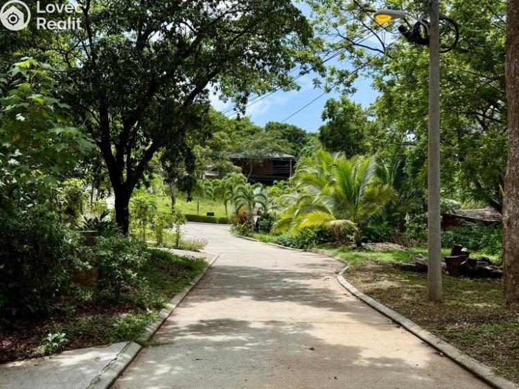 Prodej bytu 3+KK Coxen Hole,Honduras č. 15