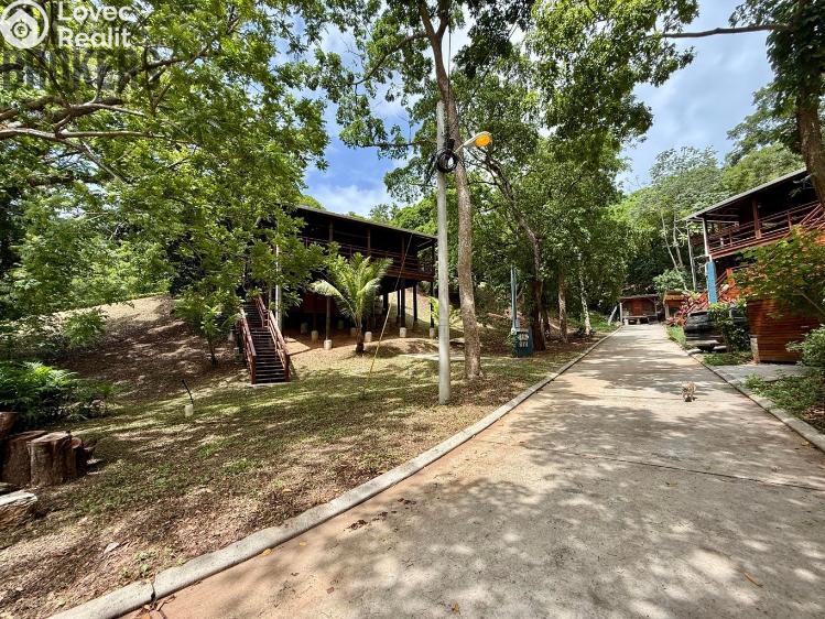 Prodej bytu 3+KK Coxen Hole,Honduras č. 63