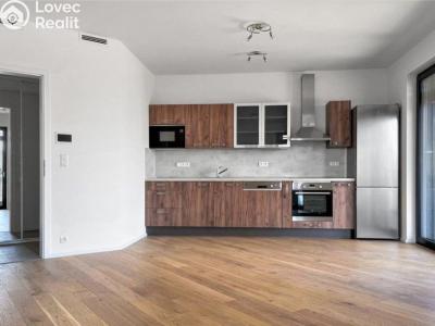 Rent apartment 2+KK Praha, Ramonova č. 13