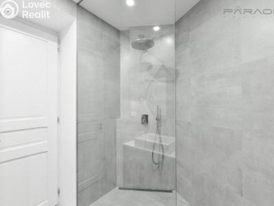 Rent apartment 3+KK Praha, náměstí Jiřího z Poděbrad č. 12