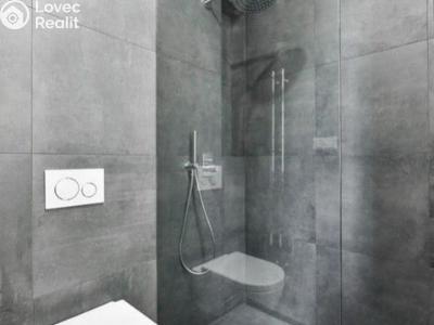 Rent apartment 3+KK Praha, náměstí Jiřího z Poděbrad č. 15