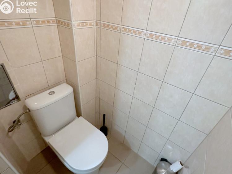Rent apartment 2+1 Praha, Vrchlického č. 9