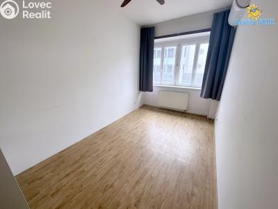 Pronájem bytu 2+1 Praha, Vrchlického č. 3