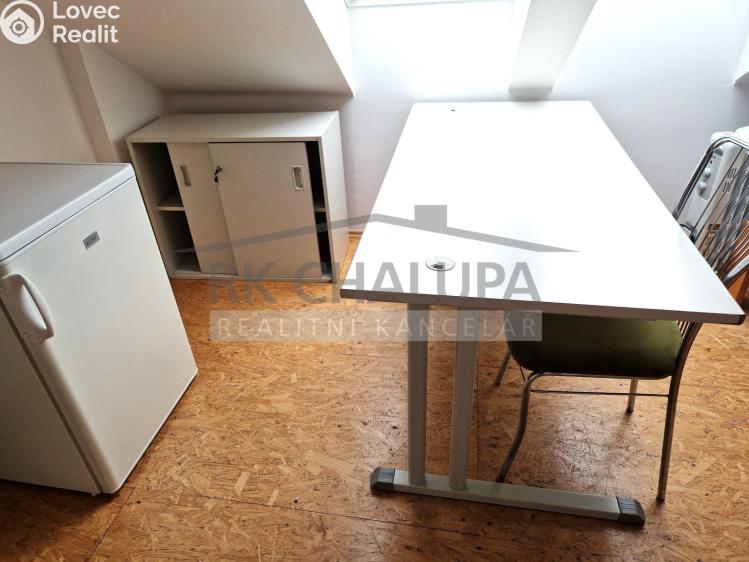 Pronájem bytu 1+1 České Budějovice, Žižkova tř. 173/19 č. 4
