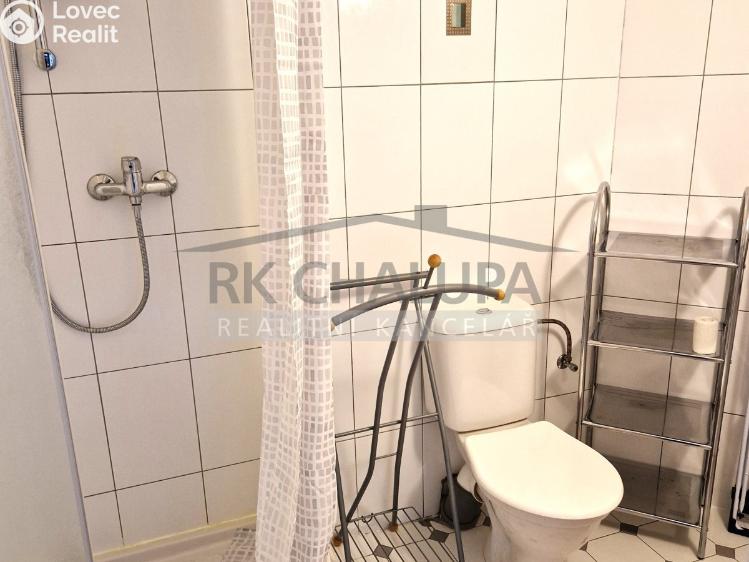 Pronájem bytu 1+1 České Budějovice, Žižkova tř. 173/19 č. 7
