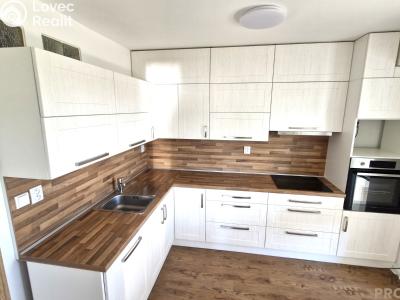 Rent apartment 3+1 Ostrava, Svojsíkova č. 1