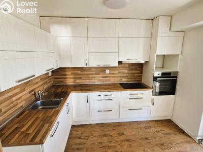 Rent apartment 3+1 Ostrava, Svojsíkova č. 2