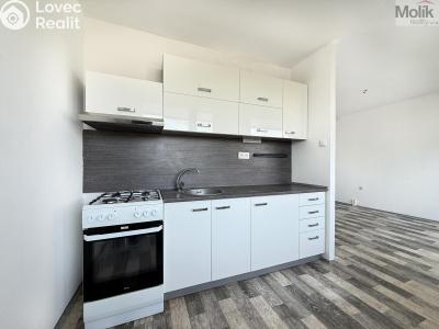 Pronájem bytu 2+1 Osek, Hrdlovská 641 č. 2