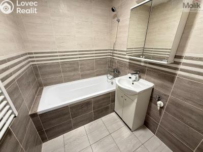 Pronájem bytu 2+1 Osek, Hrdlovská 641 č. 4