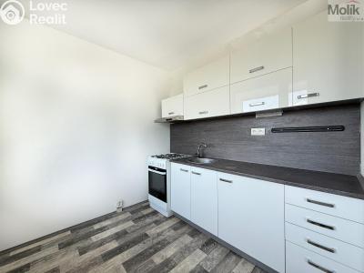 Pronájem bytu 2+1 Osek, Hrdlovská 641 č. 5