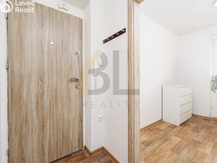 Prodej bytu 2+1 Hodonín, Horní Valy 2929/11 č. 9