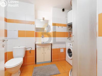 Prodej bytu 2+1 Hodonín, Horní Valy č. 6