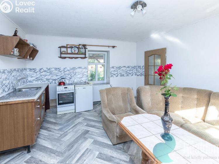 Продажа семейного дома Nespeky, Potočiny 44 č. 8
