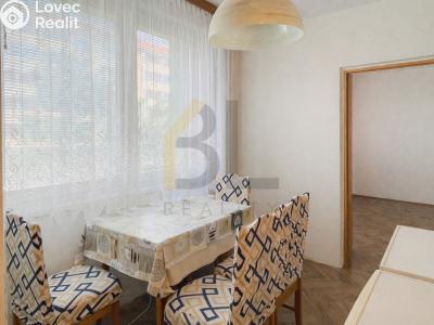 Rent apartment 2+1 Hodonín, Lesní č. 2