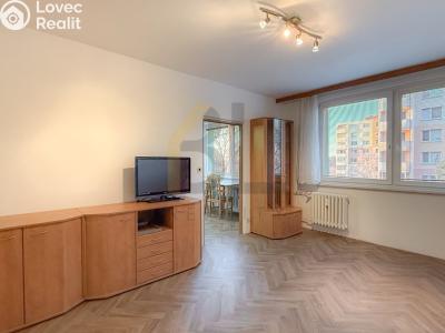 Rent apartment 2+1 Hodonín, Lesní č. 3