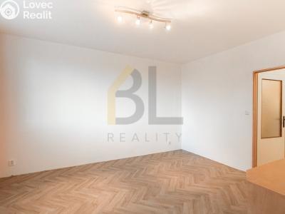 Rent apartment 2+1 Hodonín, Lesní č. 5