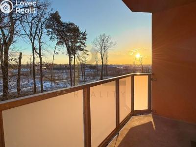 Rent apartment 2+1 Hodonín, Lesní č. 8