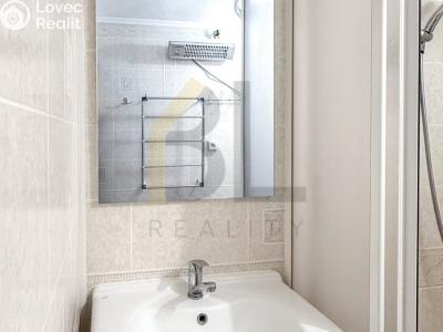 Rent apartment 2+1 Hodonín, Lesní č. 9