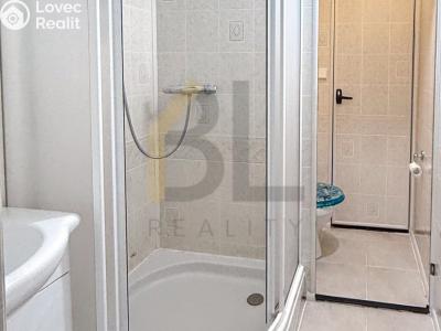 Rent apartment 2+1 Hodonín, Lesní č. 10