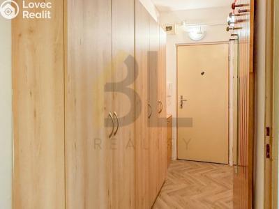 Rent apartment 2+1 Hodonín, Lesní č. 11