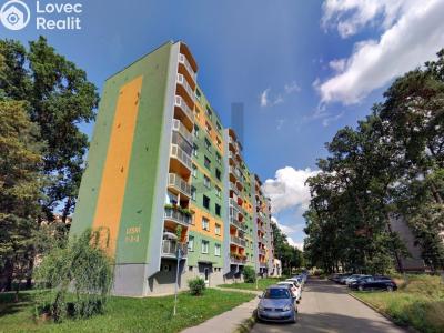 Rent apartment 2+1 Hodonín, Lesní č. 13