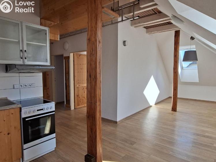 Rent apartment 3+1 Valašské Meziříčí č. 9