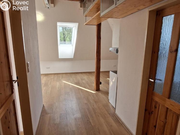 Rent apartment 3+1 Valašské Meziříčí č. 8