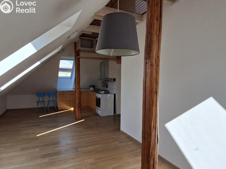 Rent apartment 3+1 Valašské Meziříčí č. 11