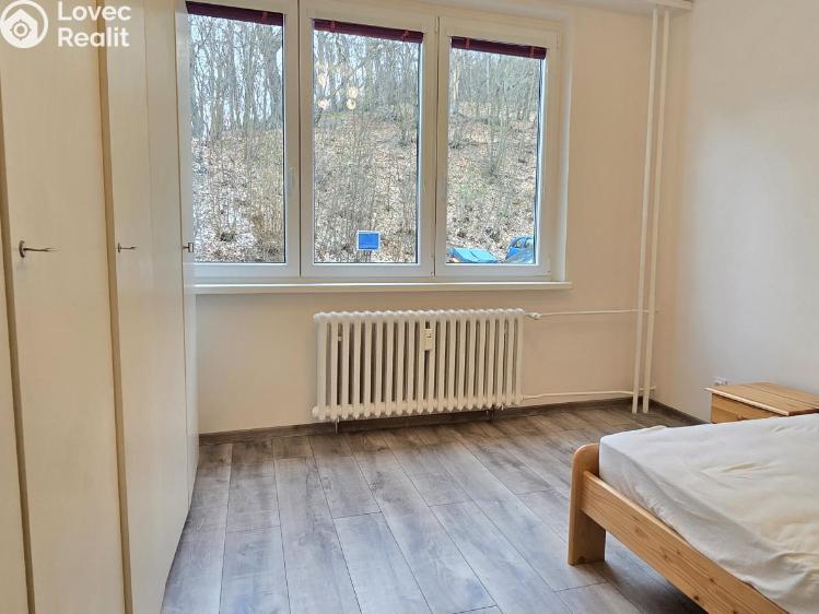 Pronájem bytu 3+1 Litvínov, Na Kopci 242 č. 3