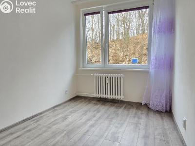 Аренда квартиры 3+1 Litvínov, Na Kopci 242 č. 8