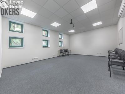 Оренда багатоквартирного будинку Mladá Boleslav, Koněvova č. 18