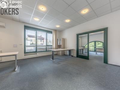 Оренда багатоквартирного будинку Mladá Boleslav, Koněvova č. 19