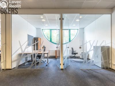 Аренда виллы Mladá Boleslav, Koněvova č. 8