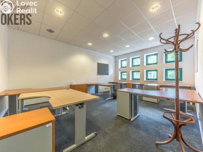 Аренда виллы Mladá Boleslav, Koněvova č. 9