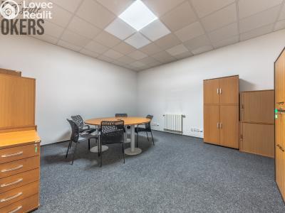 Аренда виллы Mladá Boleslav, Koněvova č. 10