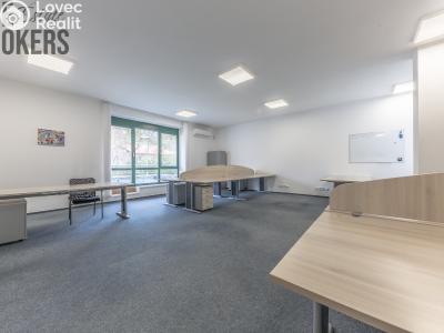 Аренда виллы Mladá Boleslav, Koněvova č. 16