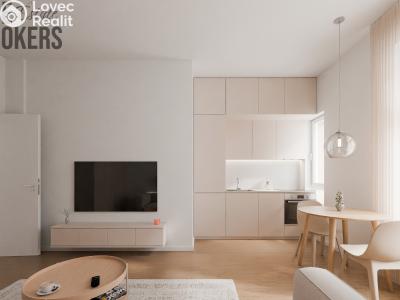 Sale apartment 1+KK Praha, Plzeňská č. 1