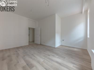 Sale apartment 1+KK Praha, Plzeňská č. 5