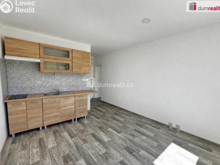 Pronájem bytu 1+1 Klášterec nad Ohří, Družstevní č. 15