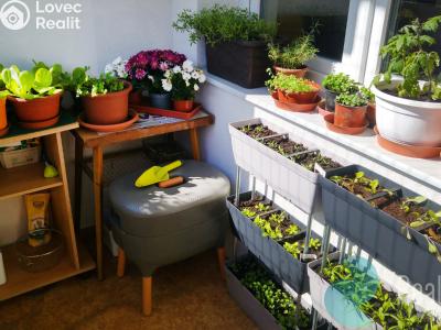 Продажа квартиры 3+1 České Budějovice, V. Volfa č. 7