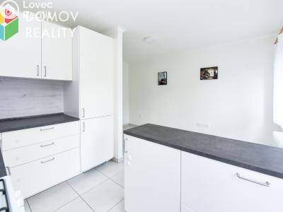 Продажа квартиры 3+KK Králův Dvůr, Pod Hájem 304 č. 13