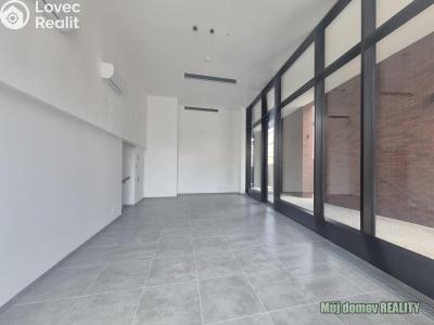 Pronájem obchodního prostoru Praha 3, Žižkov, Hartigova č. 3