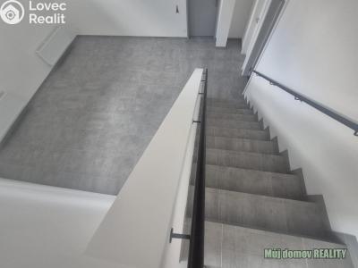 Pronájem obchodního prostoru Praha 3, Žižkov, Hartigova č. 6