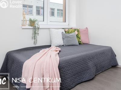 Rent apartment 3+KK Zásada č. 8