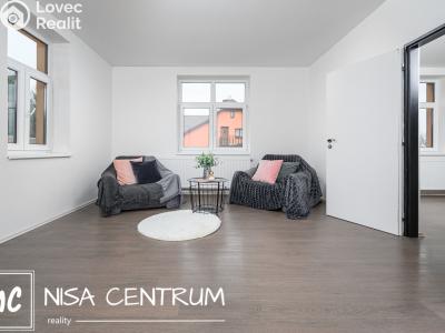 Rent apartment 3+KK Zásada č. 9