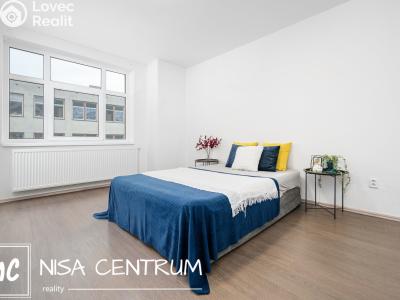 Rent apartment 3+KK Zásada č. 14