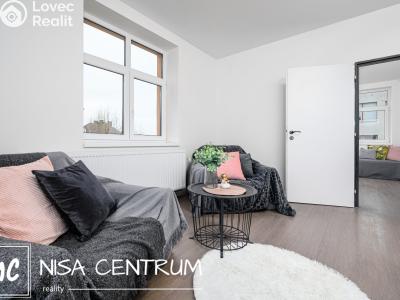 Rent apartment 3+KK Zásada č. 15