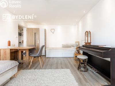 Prodej bytu 1+1 Teplice, Duchcovská č. 6